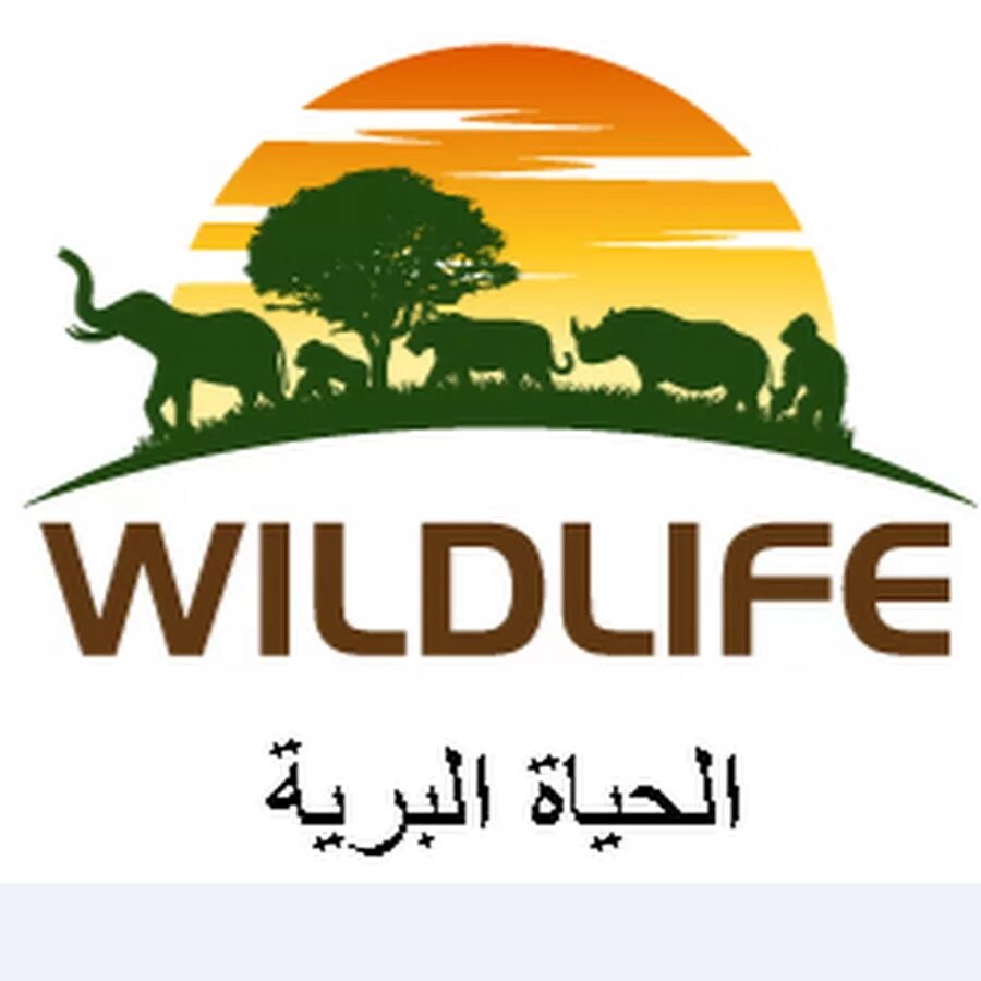 Wildlife planet. Wildlife компания логотип. Wildlife надпись. Сканди парк лого. Park Wilderness logo.