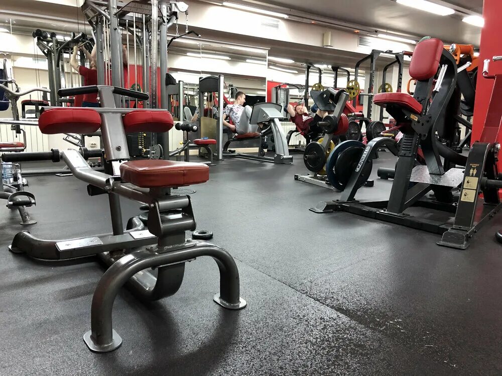 олимпия тренажерный. ростов-на-дону 2-я краснодарская улица 92б олимпия. олимпия тренажерный. спортклуб олимпия калининград. спортзал олимпия уфа.