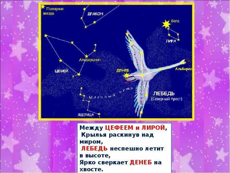 Денеб звезда в созвездии. Денеб звезда в созвездии лебедя. Созвездие лебедь Северный крест. Северный крест астеризм. Инструкция звездного неба на русском