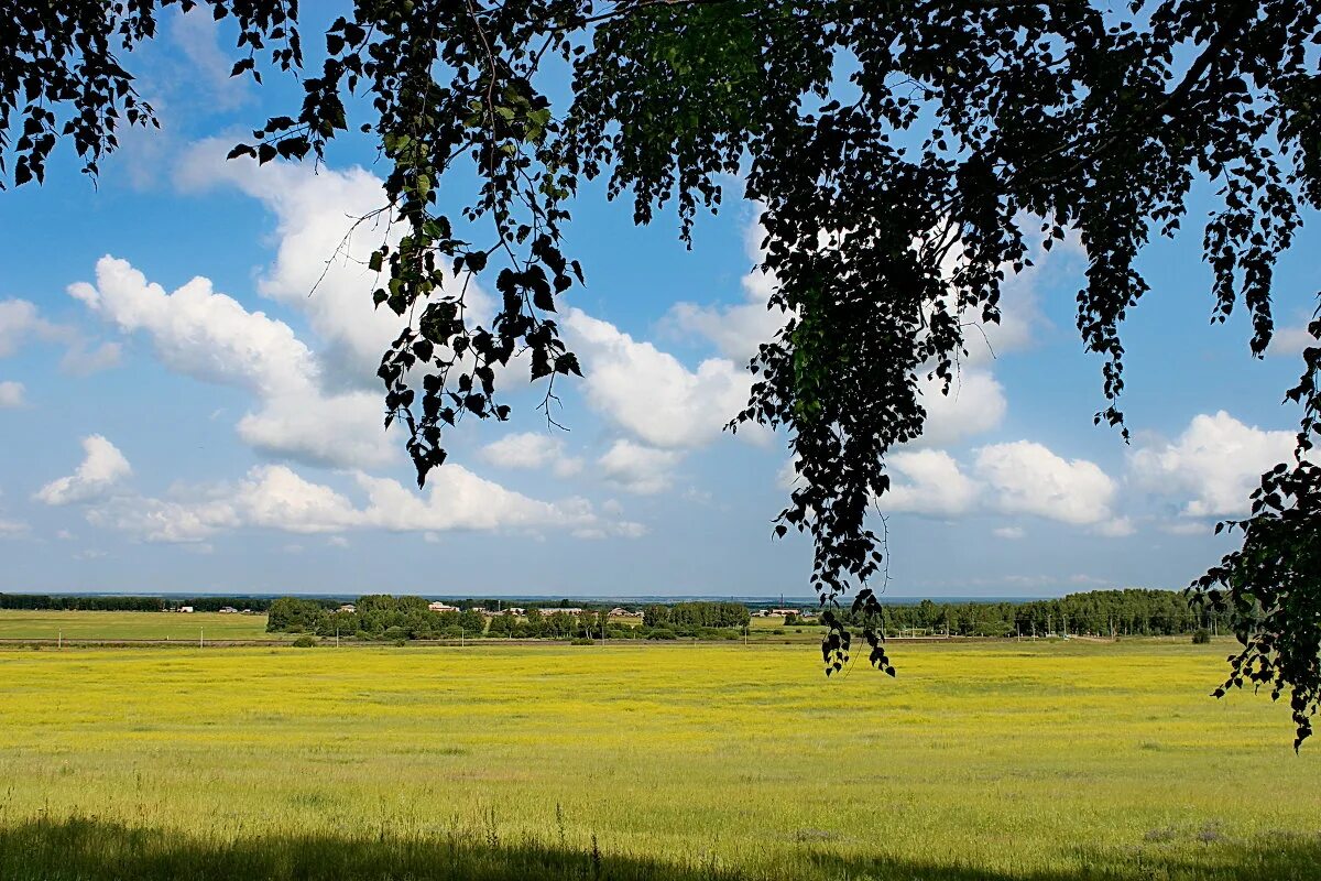 Выжигание стерни на полях. Даль великая. Пейзаж простор. Бескрайние просторы россии береза. Даль великая.