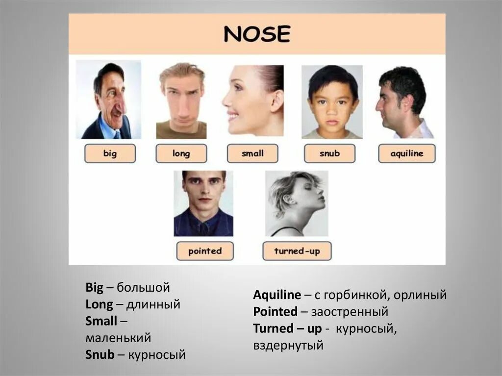 Какой внешность человека. Презентация на тему внешность человека. Опиши внешность человека. Как описать внешность человека. Вопросы для описания внешности человека.