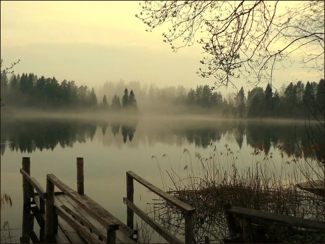 Доброе туманное утро осени. Густой туман. Утренний туман. Старый деревенский домик в тумане. Старый мостик на пруду.