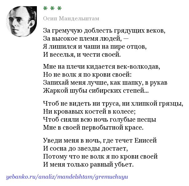 Мандельштам век волкодав стих. Стихотворение Мандельштама за гремучую доблесть.