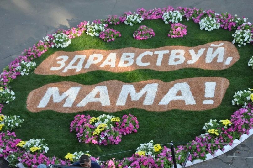 Слушать здравствуй мама вот опять. Здравствуй мама. Здравствуй мамочка. Мама Здравствуй мама. Здравствуй мама картинки.