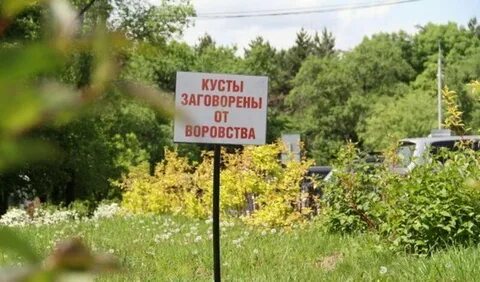 Защитить дачу
