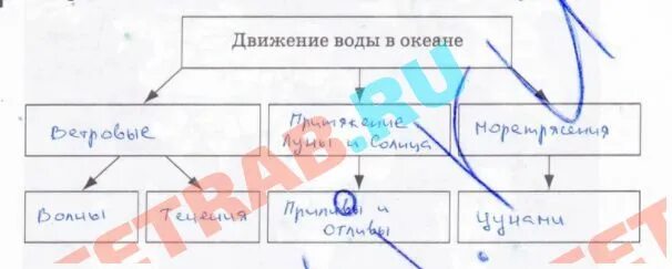 Схема движения воды в океане. Классификация движений воды в океане схема. Схема движения воды в океане 6 класс. Движение воды в океане таблица.