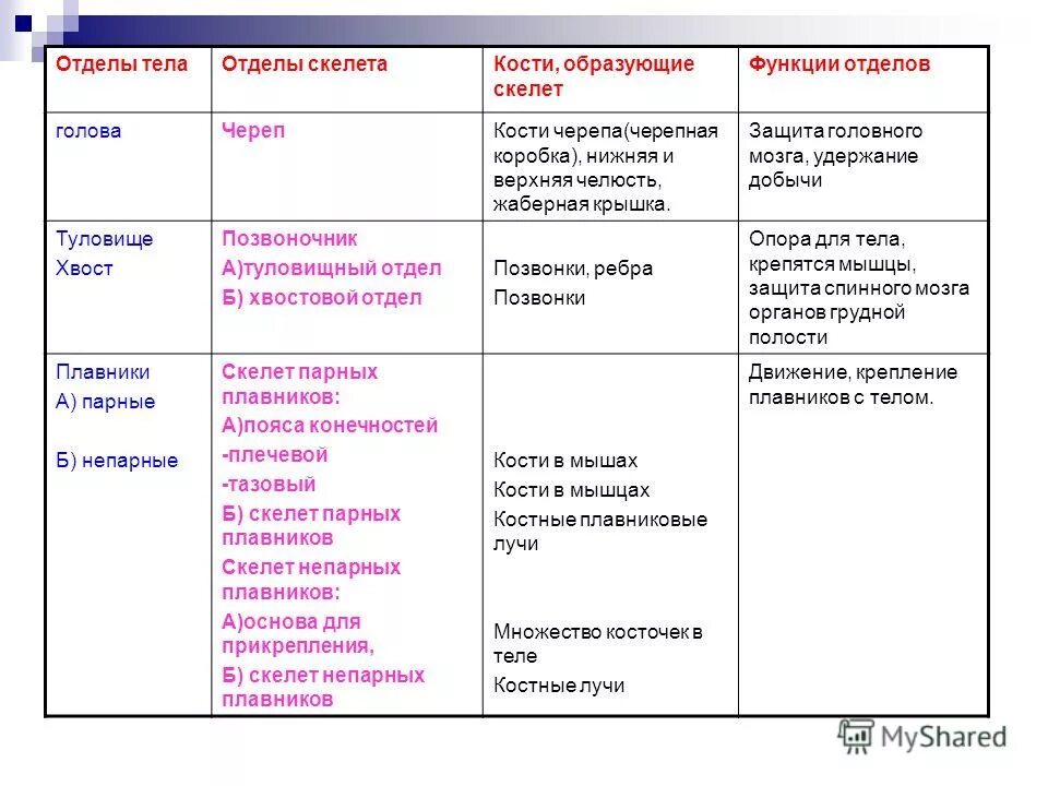 Функции отделов тела. Отделы скелета кости образующие отдел. строение скелета рыб таблица. кости скелета таблица отдел скелета кости образующие отдел функции. отделы скелета рыбы и их функции биология 7 класс.