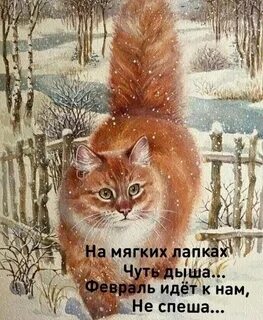 Спешу на мягких лапах