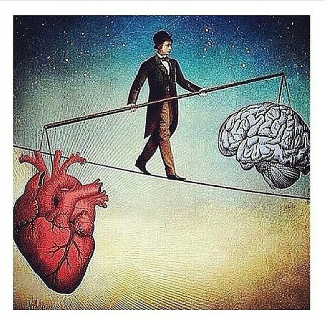 Мозг и сердце. Ум и сердце. Борьба разума и чувств. Балансировать между разумом и сердцем.