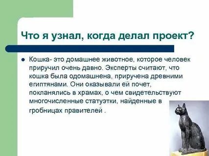 Изложение кошка была приручена в древнем египте