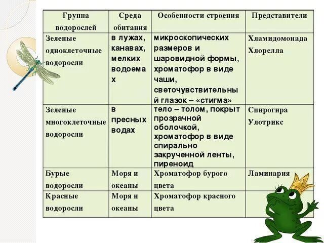 Верные признаки водорослей. Особенности строения зеленых водорослей. Зелёные одноклеточные водоросли особенности строения. Водоросли зеленые бурые красные таблица. Зелёные водоросли представители таблица.