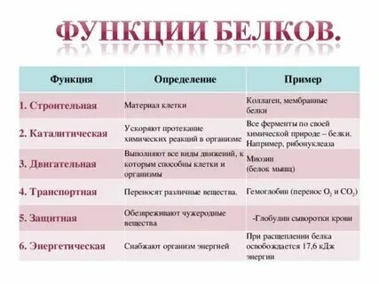 Белки ускоряющие химическую реакцию. Белки ускоряющие химическую реакцию