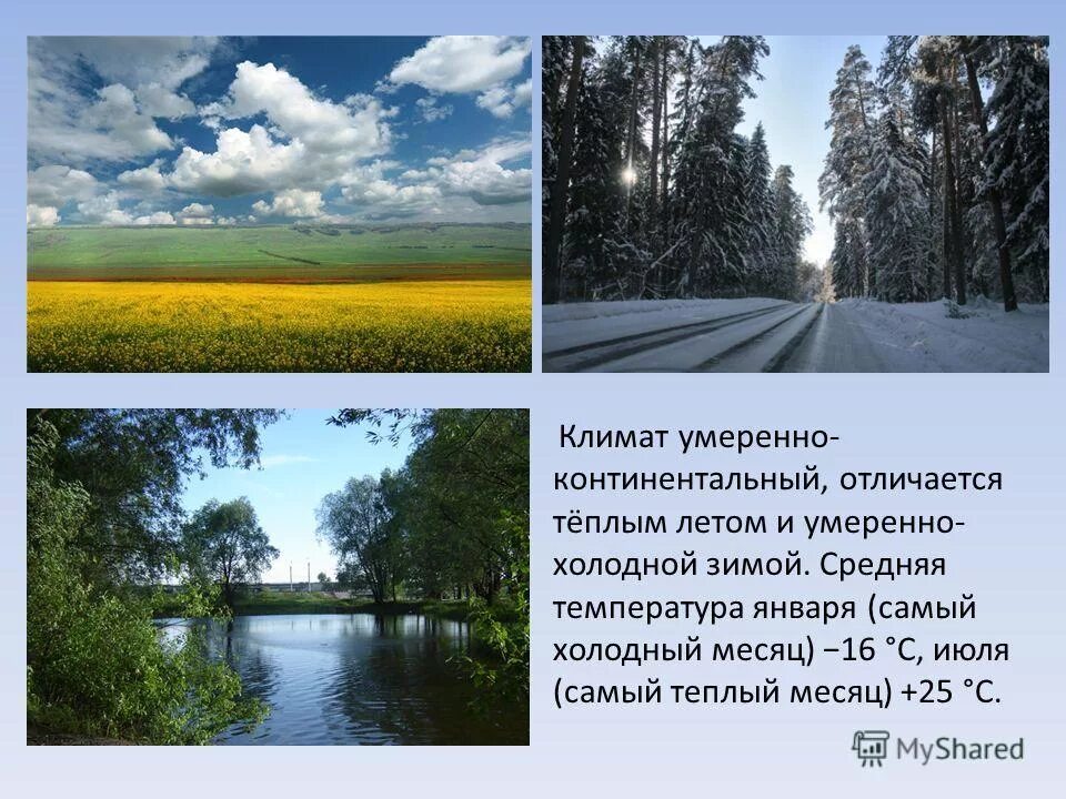 январь для презентации. зимний месяц январь. среднемесячное количество осадков. климат республики татарстан. среднее количество осадков.