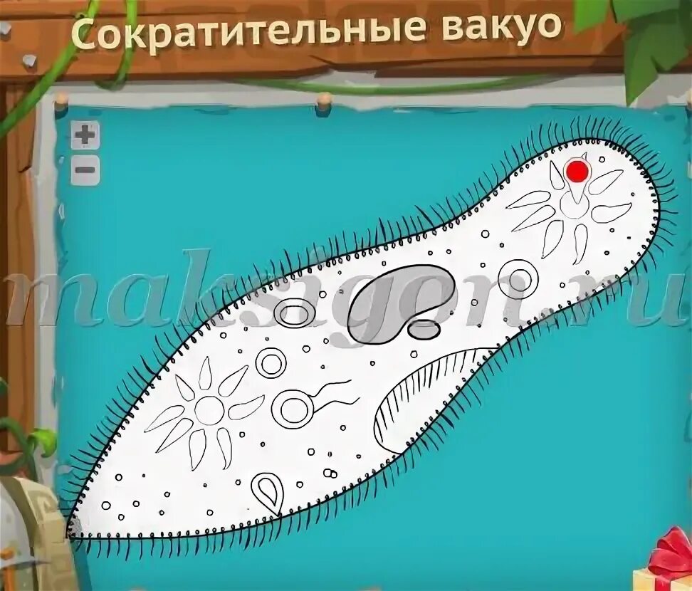 Порошица это