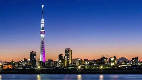 Tokyo tree