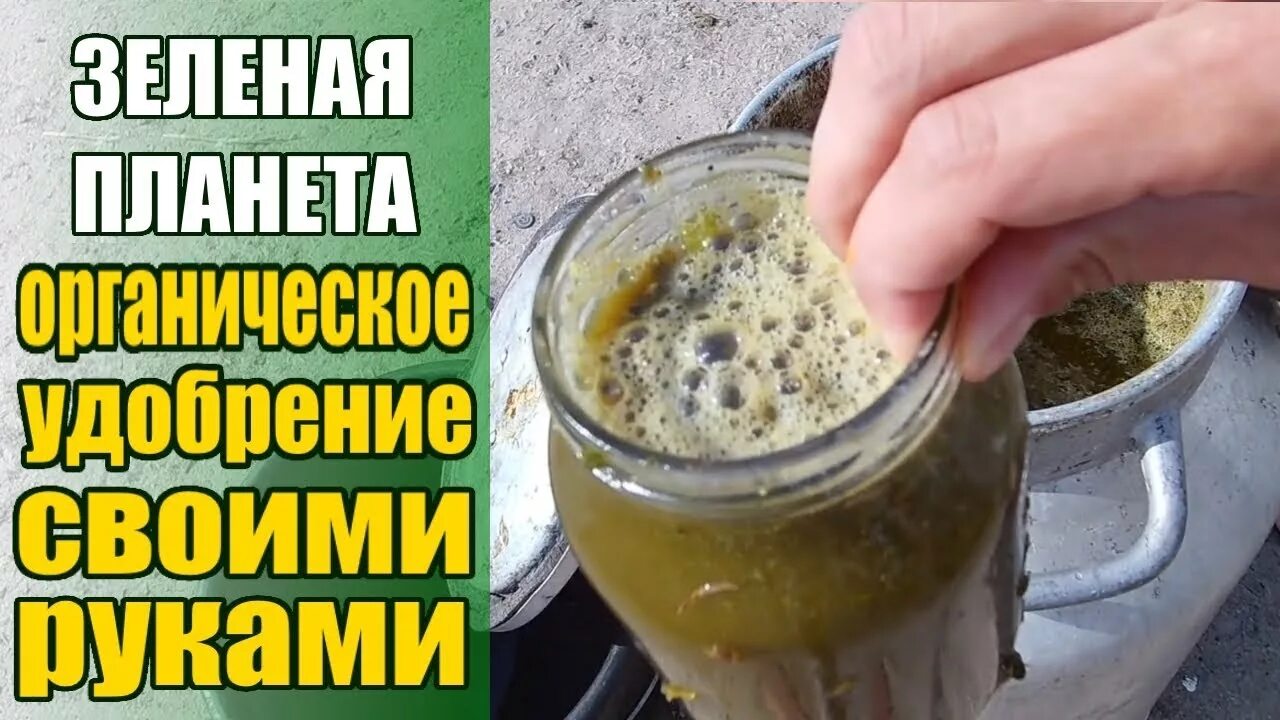 Настой из травы удобрение. Удобрения сделай сам. Кухонные отходы для компоста. Удобрения сделай сам. Компост почва.