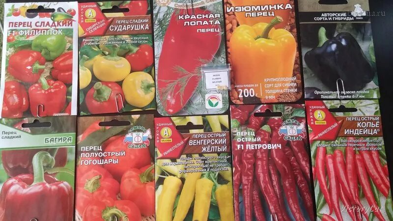 Перец изюминка описание. Перец сладкий изюминка. названия перцев сладких. перец сладкий сокровище. семена перца изюминка.