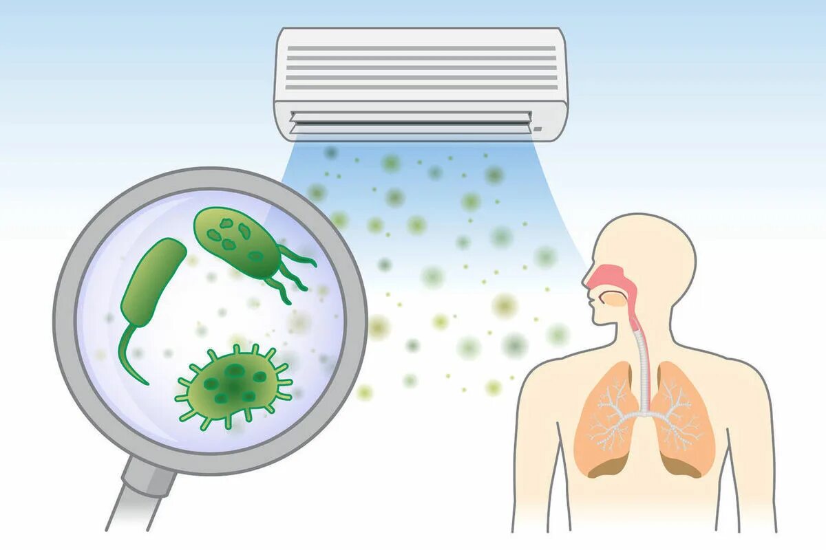 Микроорганизмы воздуха помещений. Микробы в воздухе. Микроорганизмы в воздухе. Бактерии в воздухе. Микробы в кондиционерах.
