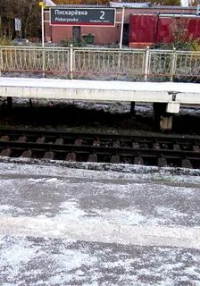 Пискаревка кавголово