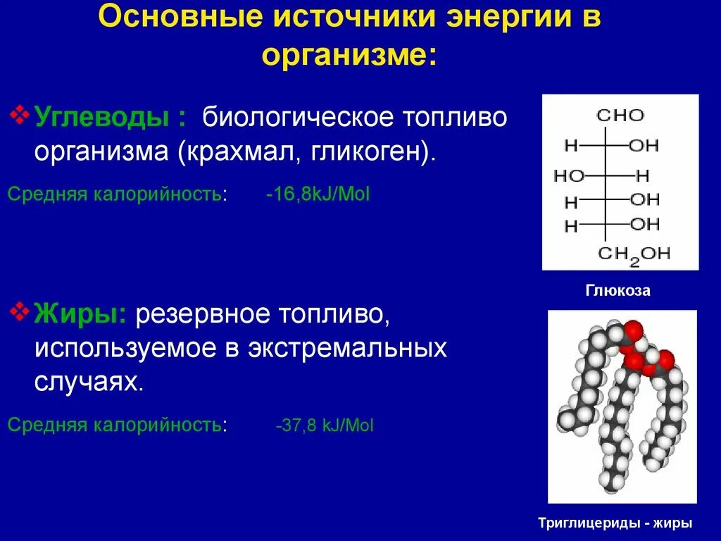 Основные источники энергии для организма. Основной источник энергии в организме. Основным источником энергии в организме являются. Основными источниками энергии для организма являются. Основные источники энергии для организма являются.