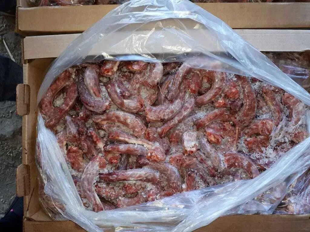 Можно ли котам куриные шеи