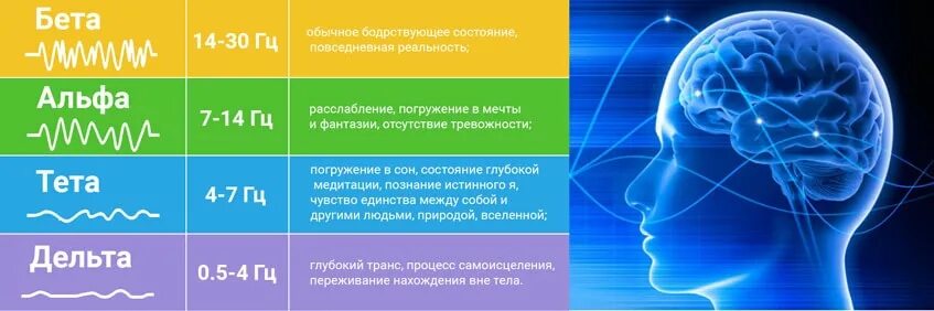 Дельта ритм мозга. Альфа ритм мозга. Гамма волны мозга. Тета хилинг.