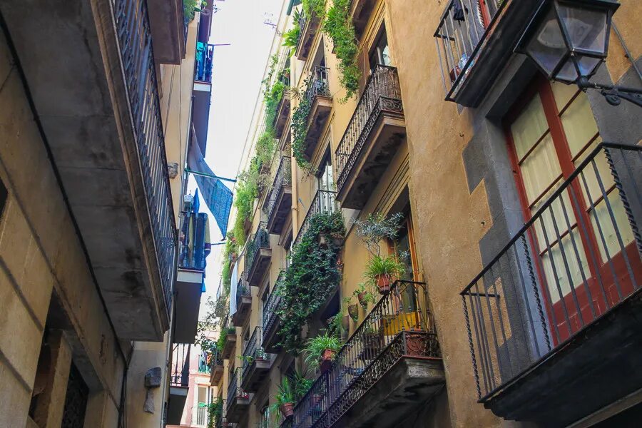 Уютная лоджия. Балконы 17. Король на балконе. Декоративный французский балкон. Таврическая 37 санкт-петербург.