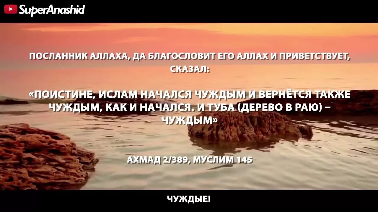 Можно ли слушать нашид в исламе. Чужды хадис. Чуждые в Исламе. Хадисы о Гураба. Гураба нашид.