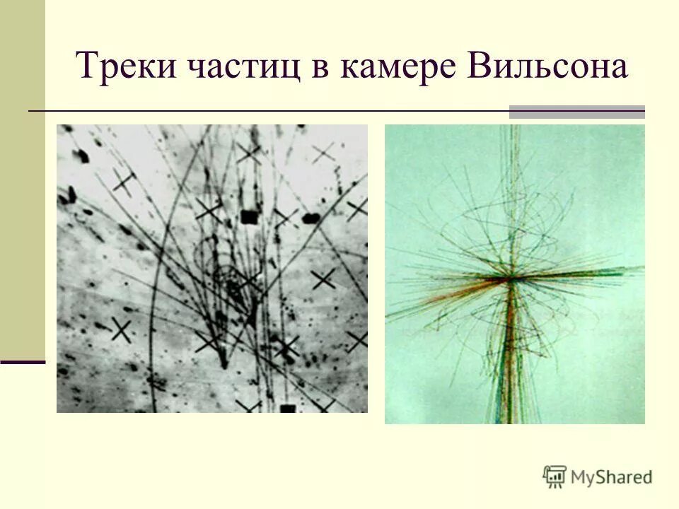 Треки двух частиц в камере вильсона. Треки частиц в камере Вильсона. Альфа частицы в камере Вильсона. Камера Вильсона треки. Трек частицы в камере.