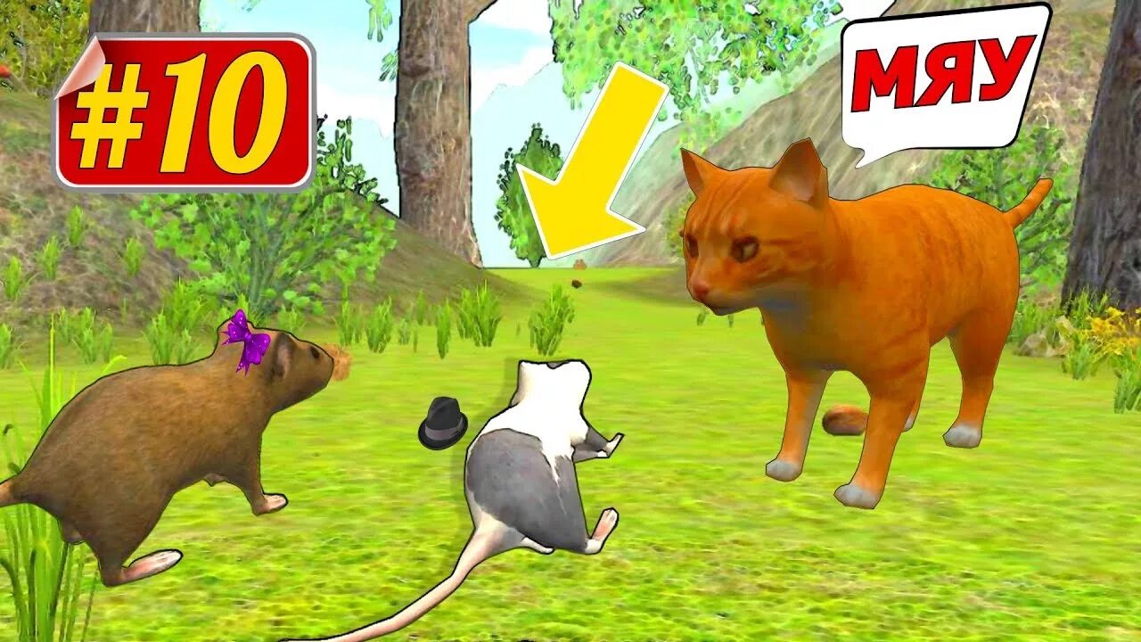 гонки крыс. игры для кошек. игры играть мышкой. трип трап игра. симулятор мыши в доме.