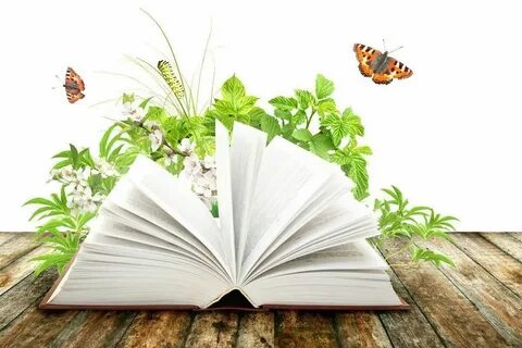Мир природы открывает книга