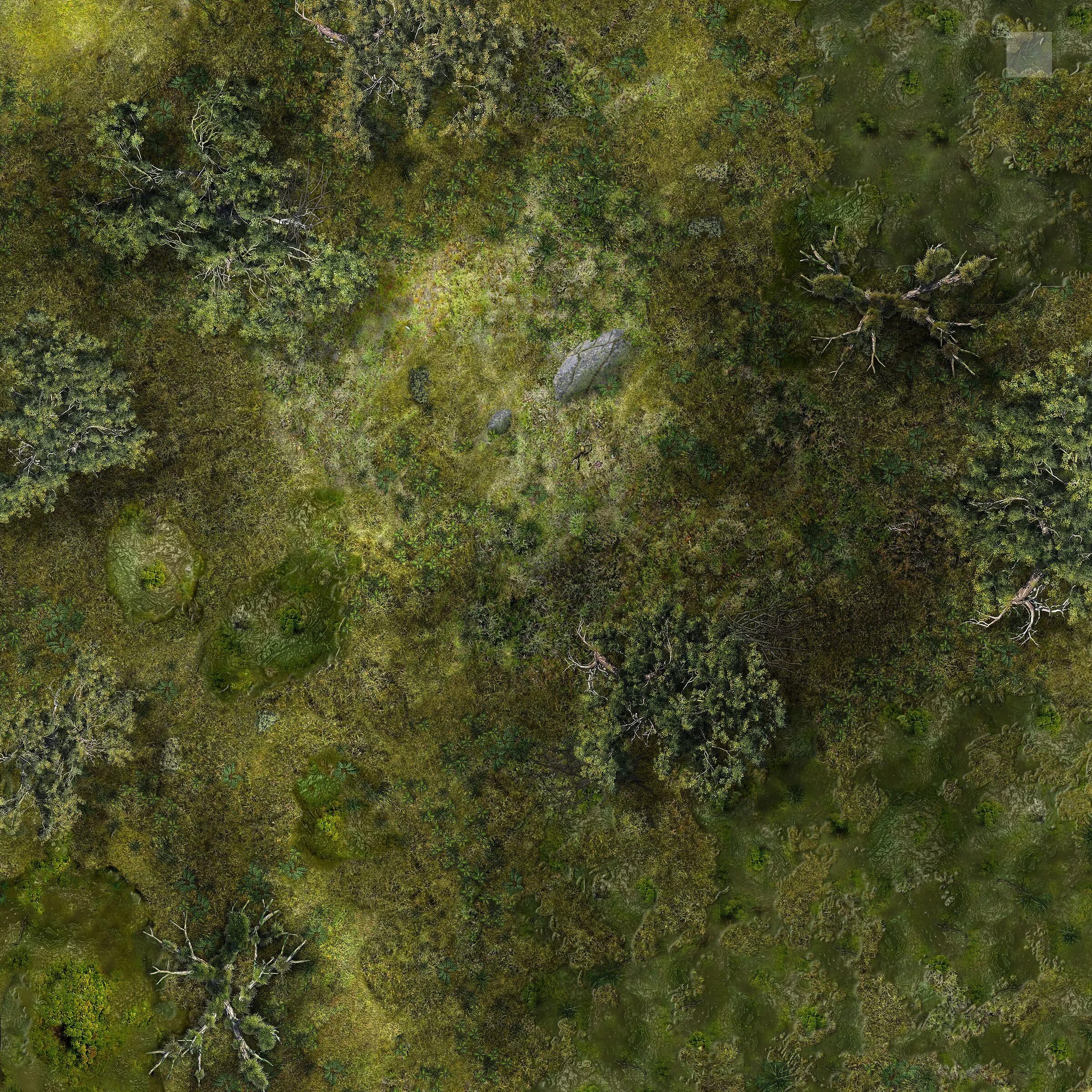 Pathfinder Forest Map. Текстура ландшафта. Лес вид сверху. Трава для генплана. Текстура рпг