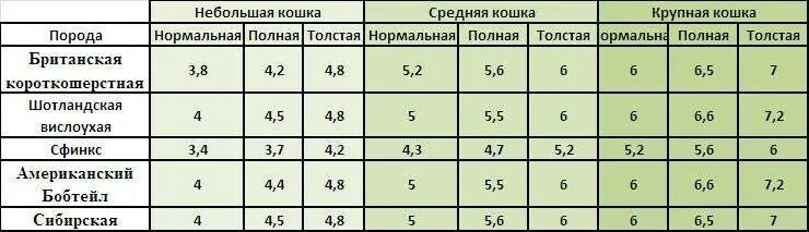 Норма веса шотландского кота в 2 года. Вес котенка по месяцам таблица Шотландская. Сколько должен весить кот в 8 месяцев. Вес британского котенка в 2 месяца.