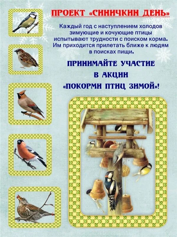 Птицы детям информация. Синичкин день покормите птиц зимой. листовки о зимующих птицах. листовка покорми птиц. буклет зимующие птицы.