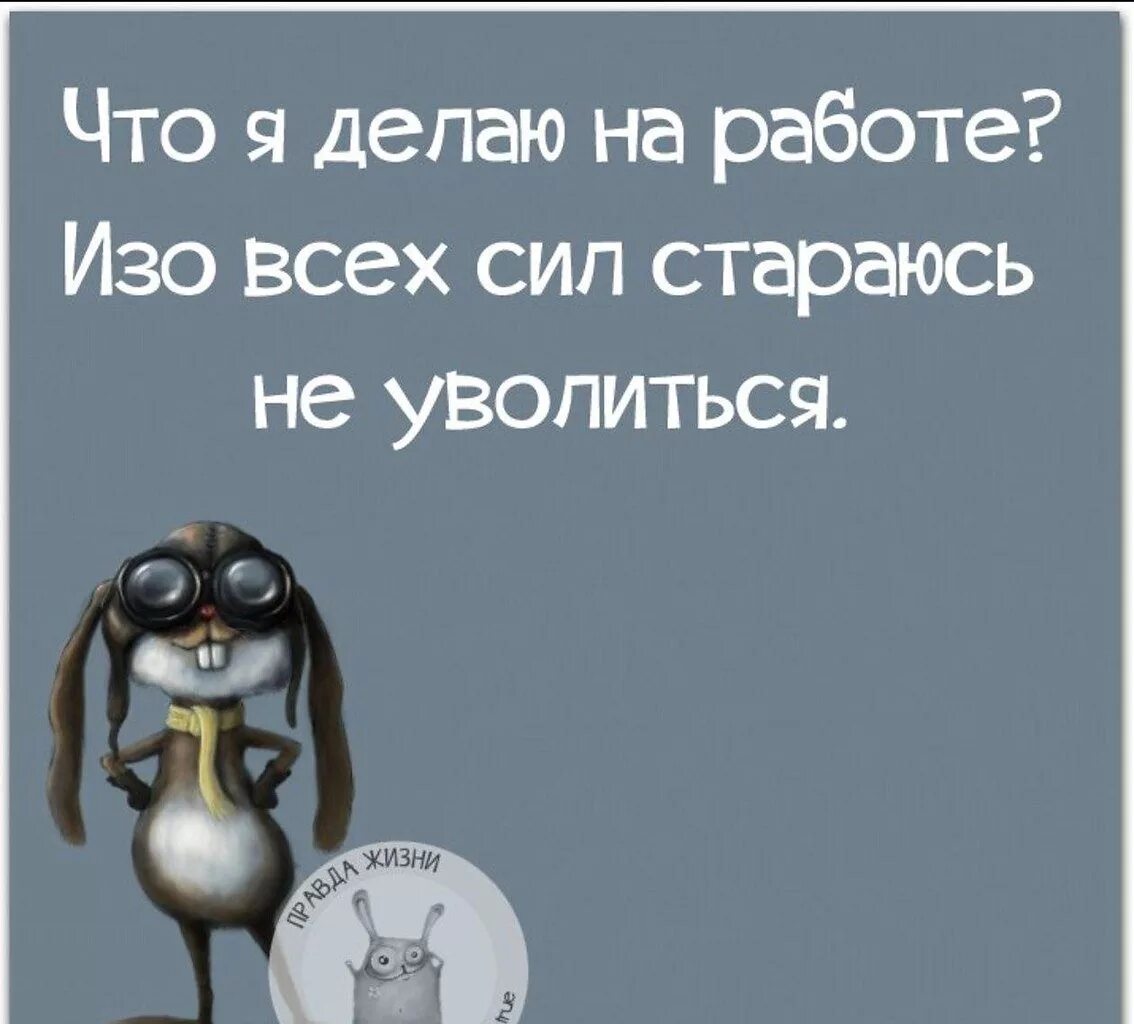 Ничего просто ожидайте. Цитаты про работу. Статусы про работу прикольные. Статусы про работу. Смешные высказывания про работу.