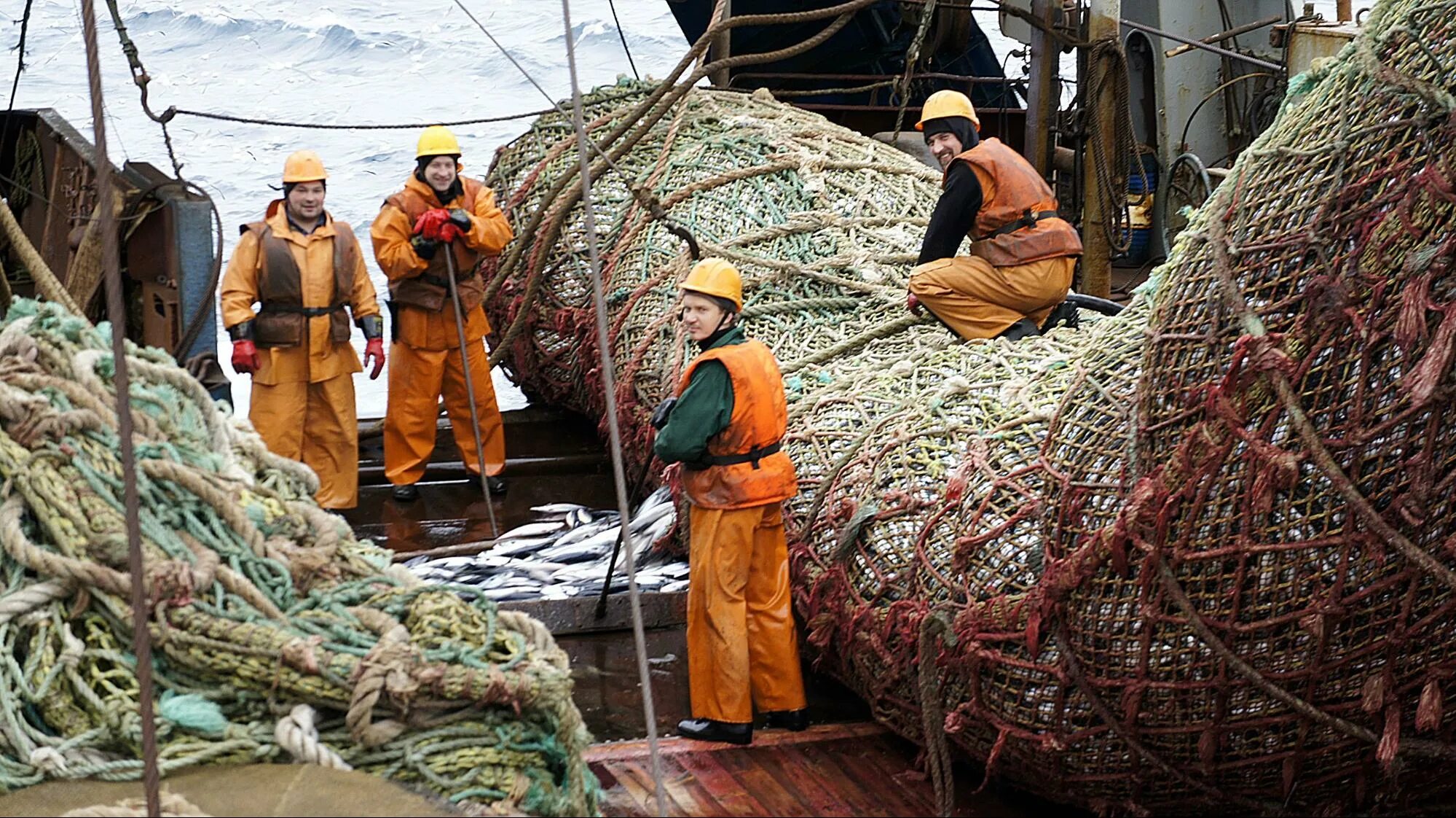 Добыча судов. Траловый флот промысел рыбы в море. Траловый промысел Баренцево море. Рыбный промысел в Мурманске. Трюм рыболовецкого судна.