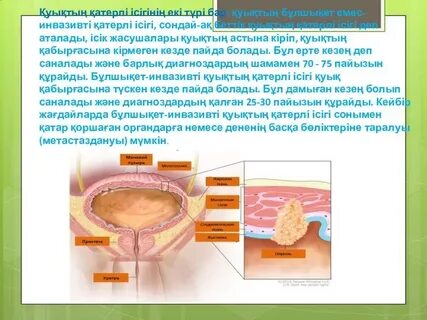Қожайын құлдарды бір-бірден пизда жалайды