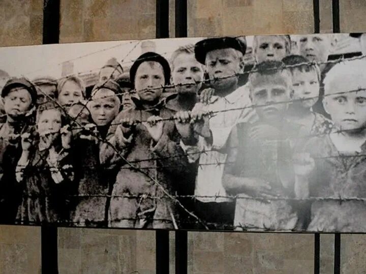 Памяти жертв холокоста посвящается. День памяти жертв холокоста. Мемориал жертвам холокоста памятники жертвам холокоста. Холокост день памяти. День памяти жертв холокоста для детей.