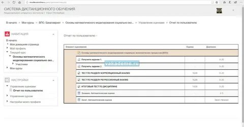 Отчет пользователя