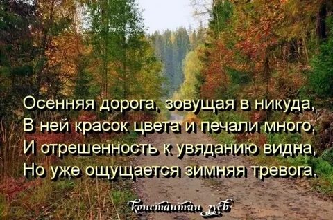 Стихи осенняя тишина