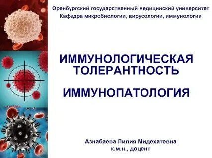 Иммунопатология это