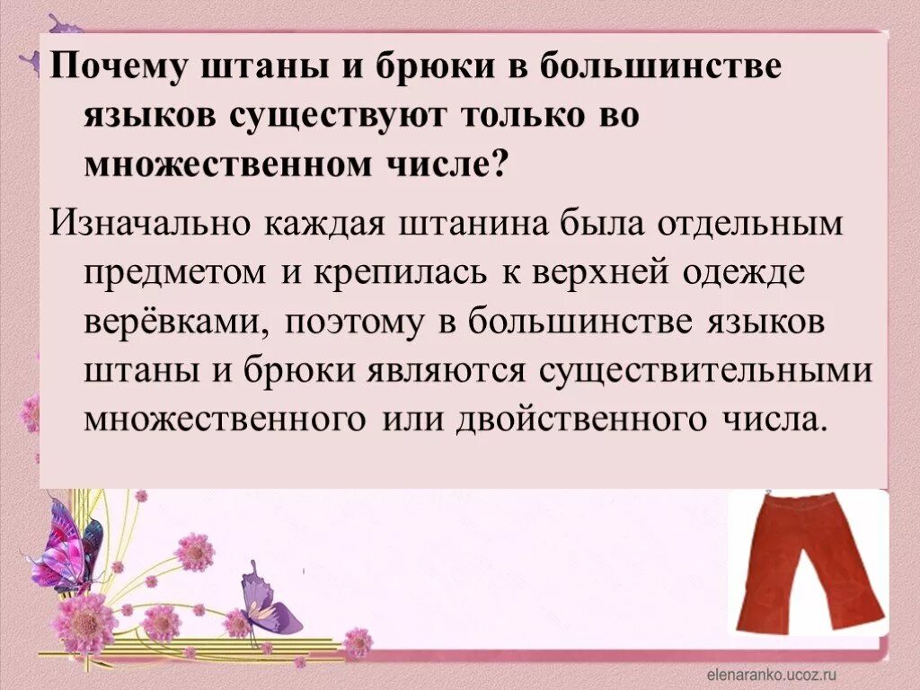 Четверо брюк предложение. Интересные факты о брюках. Штаны во множественном числе. Почему брюки во множественном числе. Единственное и множественное число брюки.