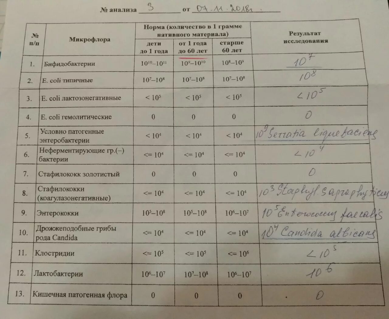 Исследование кала на микрофлору. Анализы. Анализ на патогенную флору. Анализ на бактериоз. Анализы крови через сколько готовы результаты