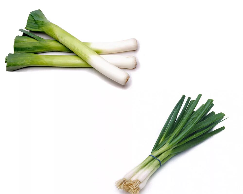 Leek ставрополь. Leek трава. leek ориентация. leek морген. стенд leek.