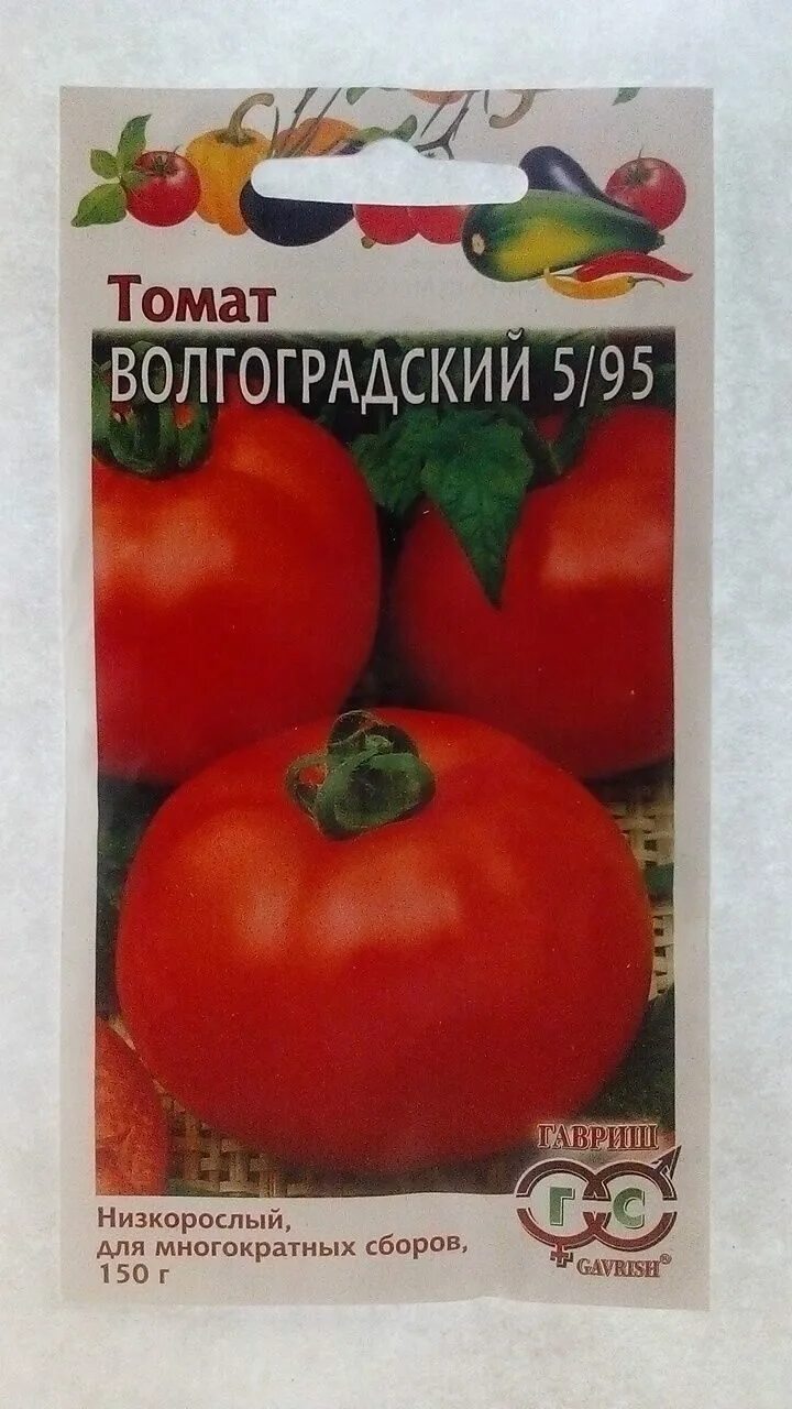 Помидоры сорт волгоградский 5/95. Томат волгоградский 5 95 характеристика и описание. Сорт помидор волгоградский скороспелый. Томат волгоградский 5 95 характеристика и описание. Помидоры волгоград 323.