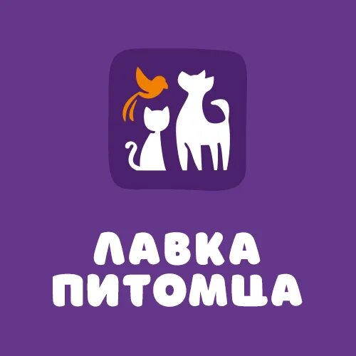 Питомца воронеж. Питомца воронеж