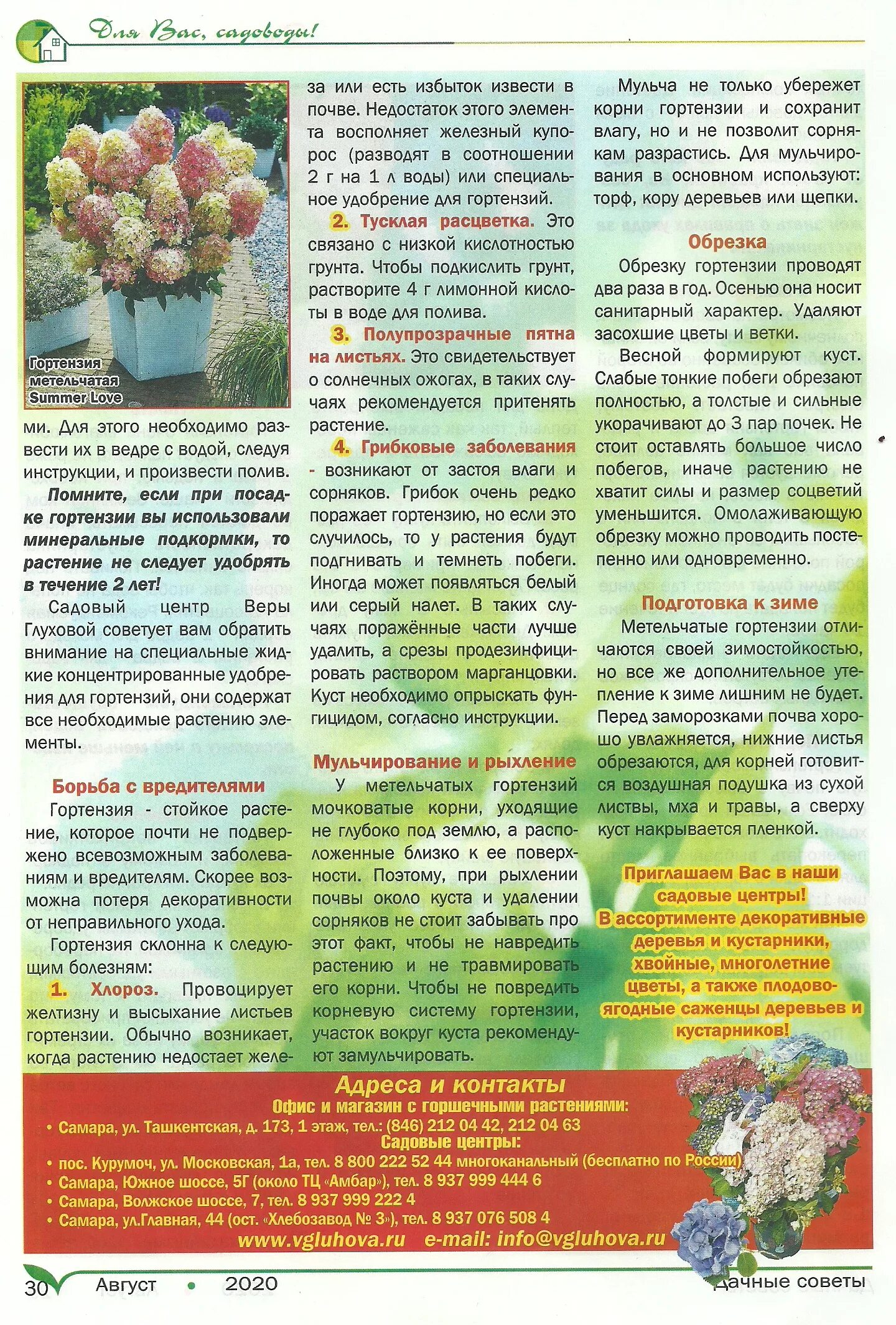 Дачные советы галины старосельцевой тыква. Дачные советы в картинках. Старосельцева дачные советы. Дача советы. Журнал дачный совет.