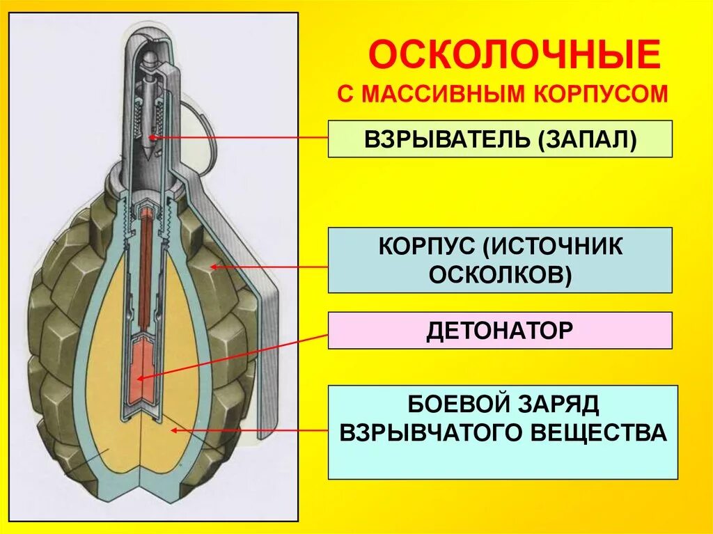 Какое время горения замедлителя запала гранаты ф1. Чертёж гранаты ф1. взрыватель гранаты ргд 5.