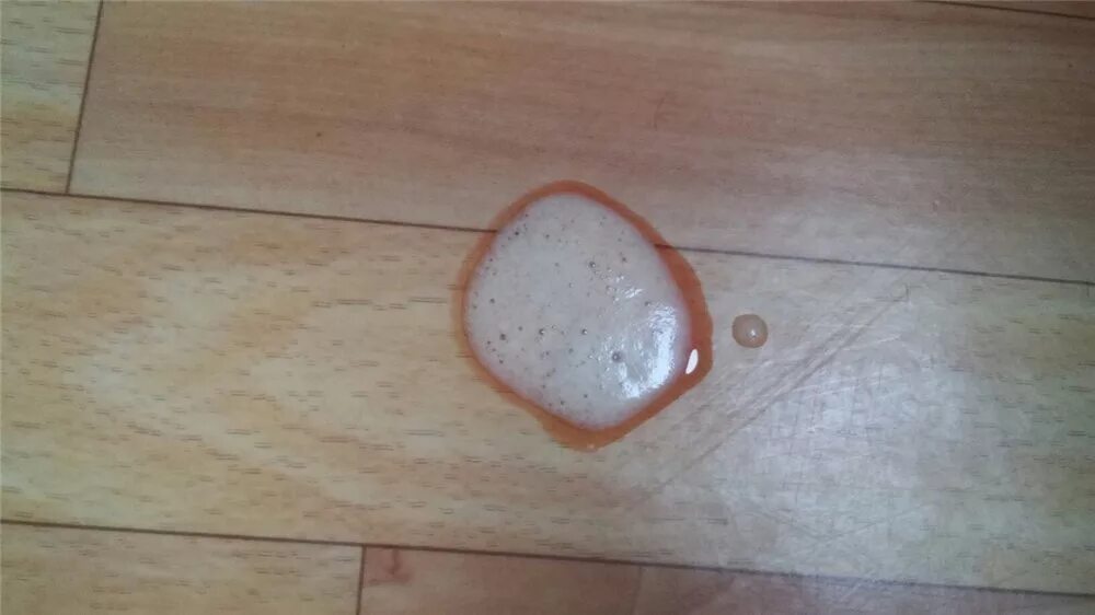 Рвота у котенка белая пенистая. Красный комочек в рвоте. Кота стошнило желтой жидкостью. У шпица рвота белой пеной. Вырвало чем то белым.