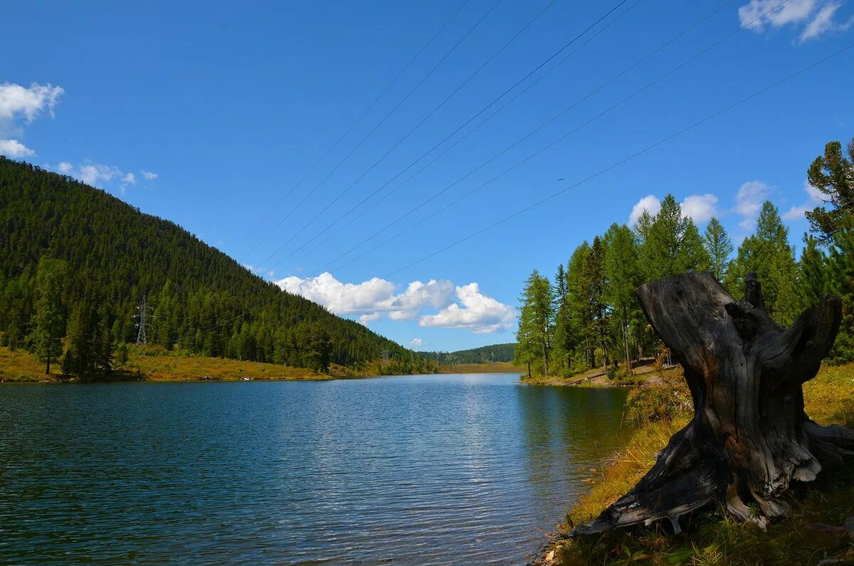 Озеро чейбеккель. Село большой яломан фото. Чейбек коль озеро. Озеро чейбеккель горный алтай. Озеро чейбеккель алтай.